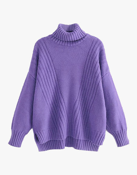 Jumper With Turtle Neck