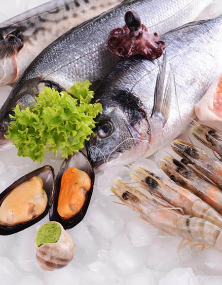 Blue Lace Long Sleeve Dress