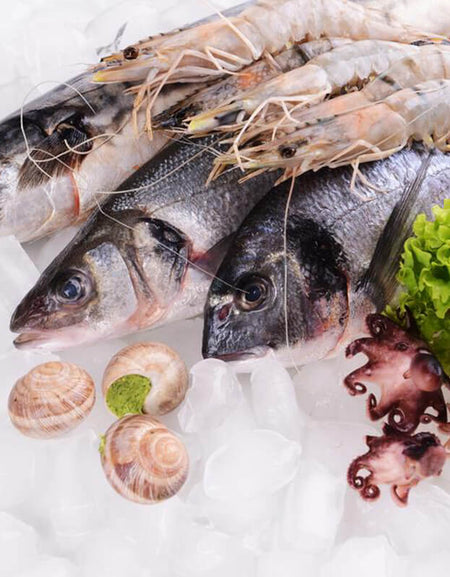 Blue Lace Long Sleeve Dress